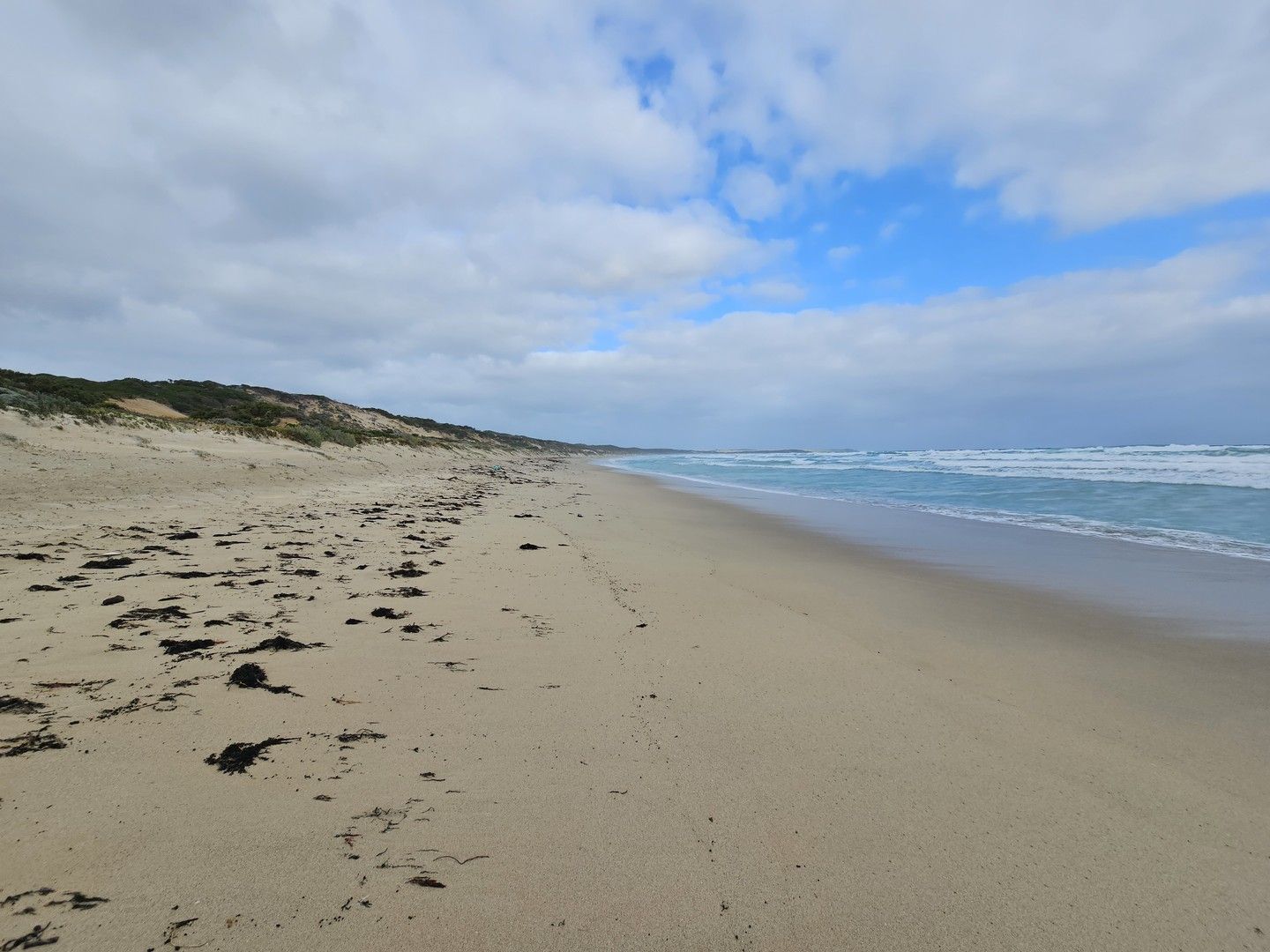 Lot 3 Phoques Bay Road, Egg Lagoon TAS 7256, Image 0