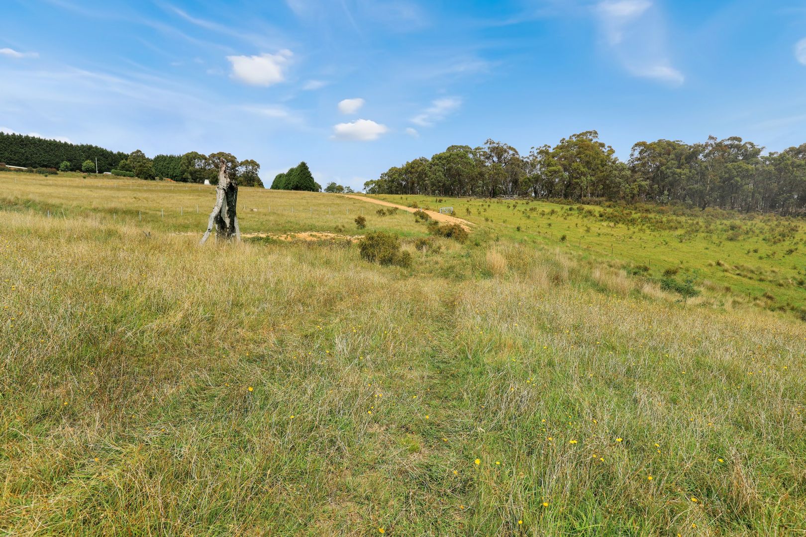 42 Wilson Drive, Oberon NSW 2787 Vacant Land for Sale Domain