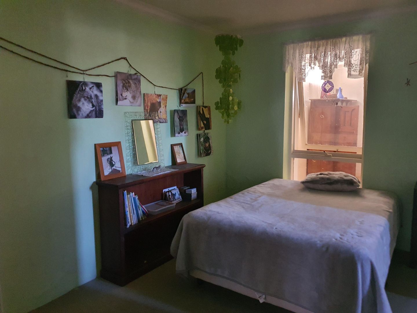 352 Williams Street, Broken Hill NSW 2880 House For Rent Domain