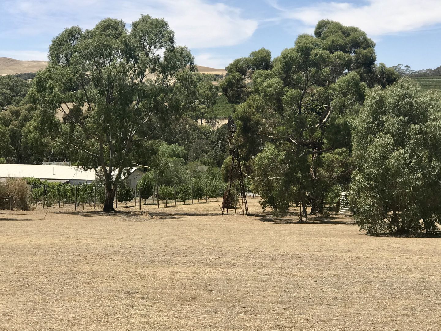 Lot 92 South Terrace, Watervale SA 5452, Image 2