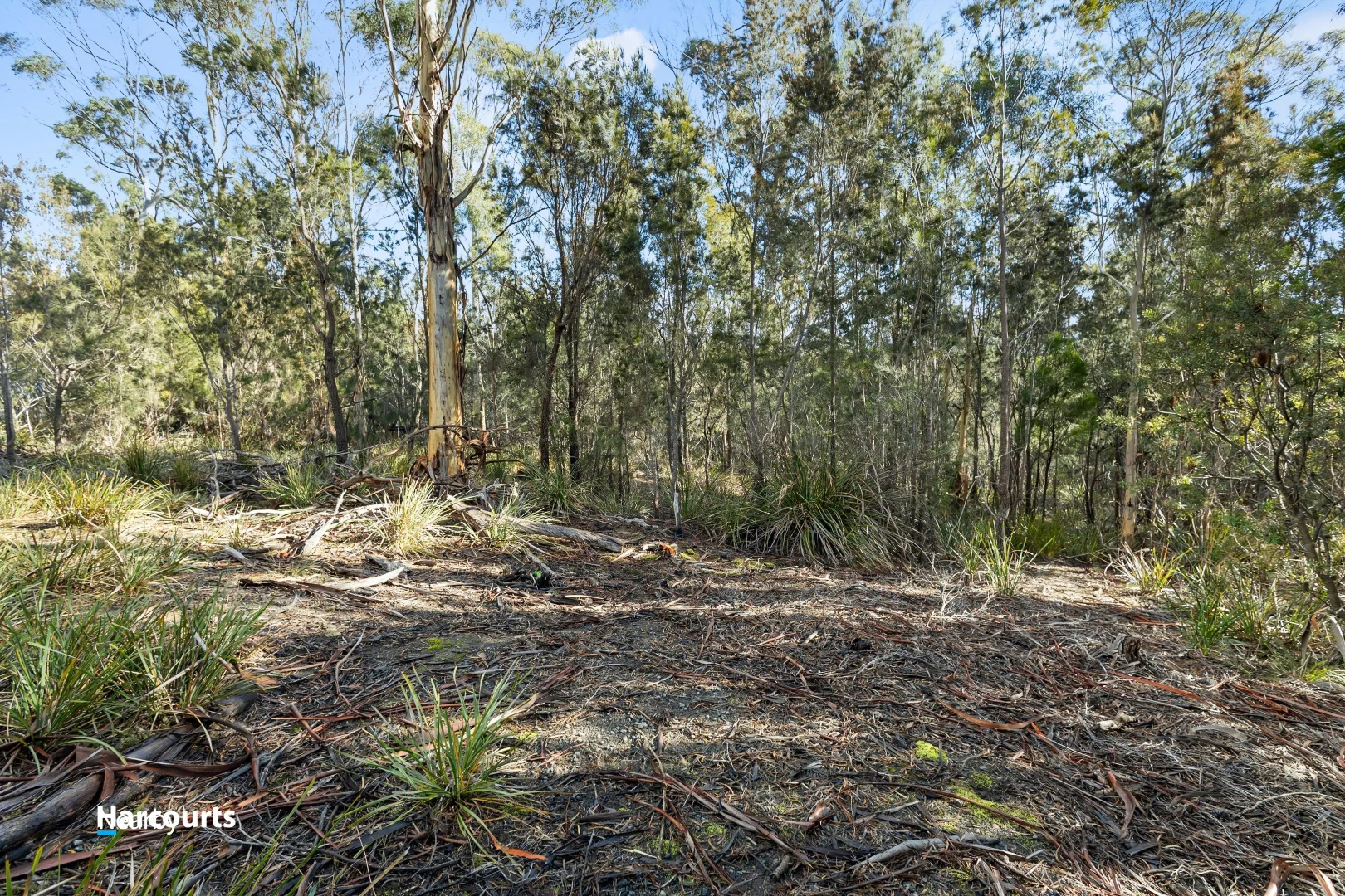 Image 13