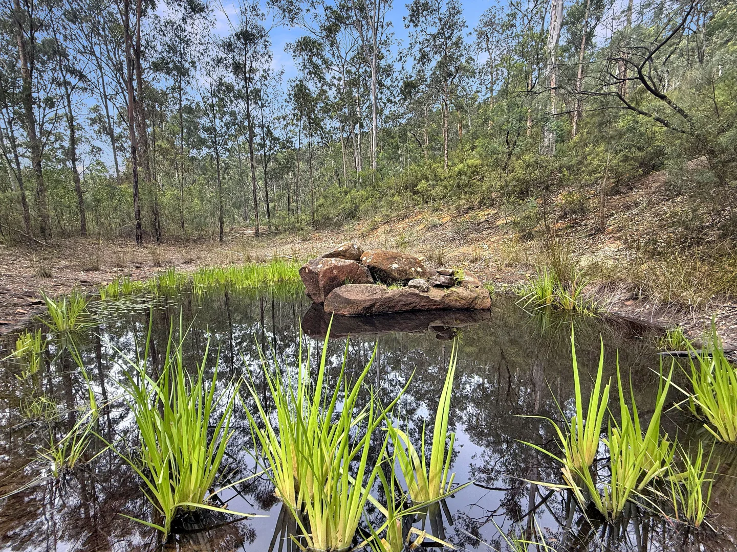 Additional image 12 of 112 Finchley Track, Laguna NSW 2325