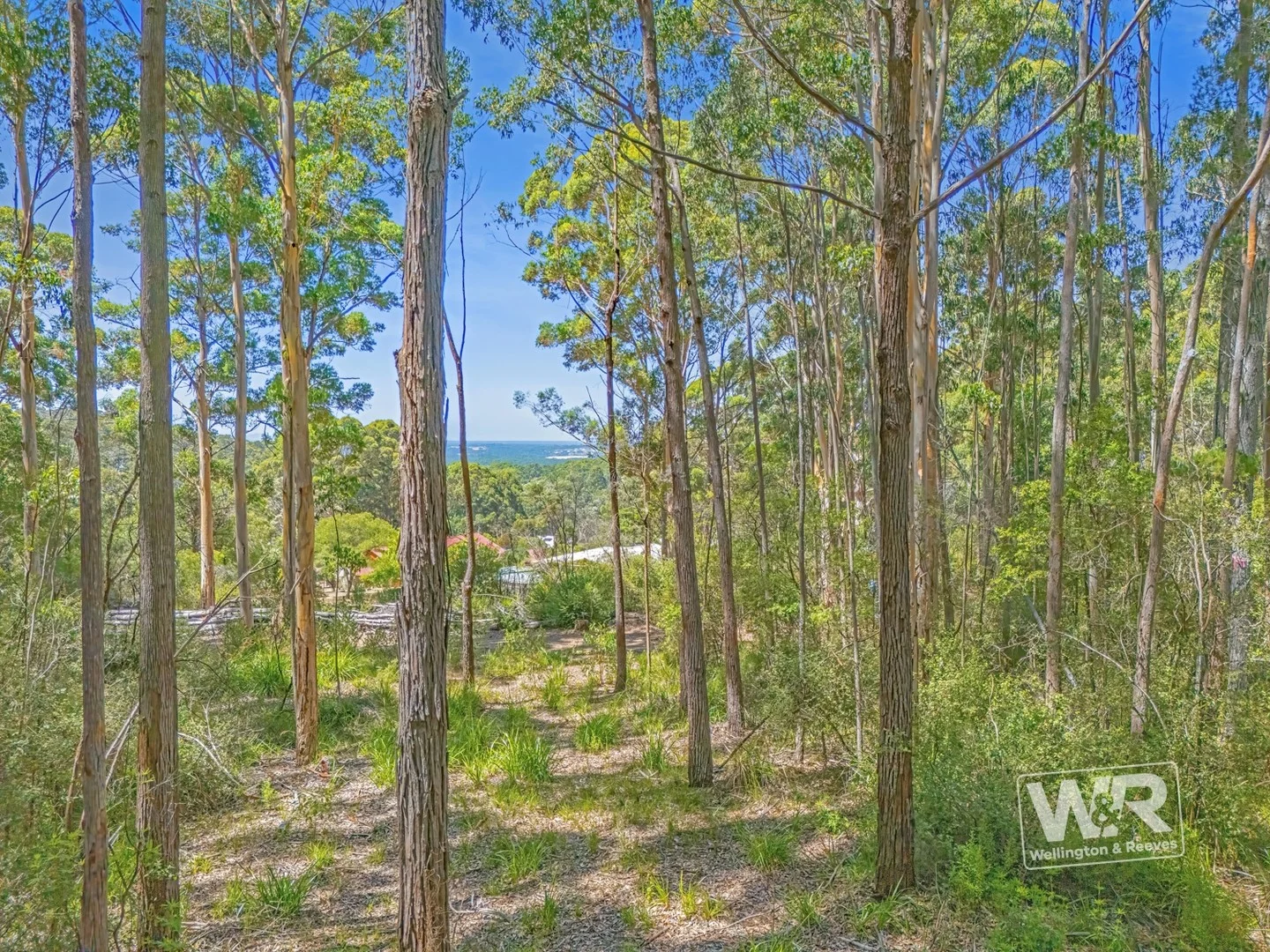 Primary image of Shadforth WA 6333