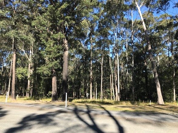 Lot 24 Jerberra Road, Tomerong NSW 2540, Image 1