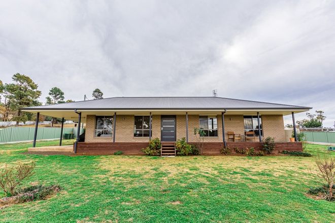 Picture of 17 Paxton Street, GEURIE NSW 2818