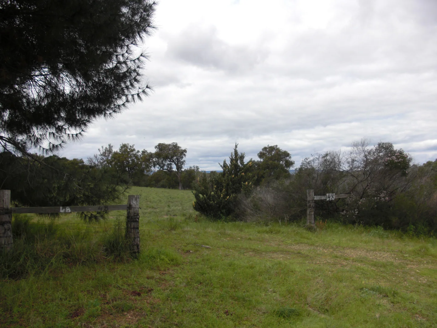 Image 6