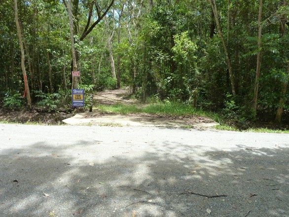 Picture of Lot 203 Cedar Road, COW BAY QLD 4873
