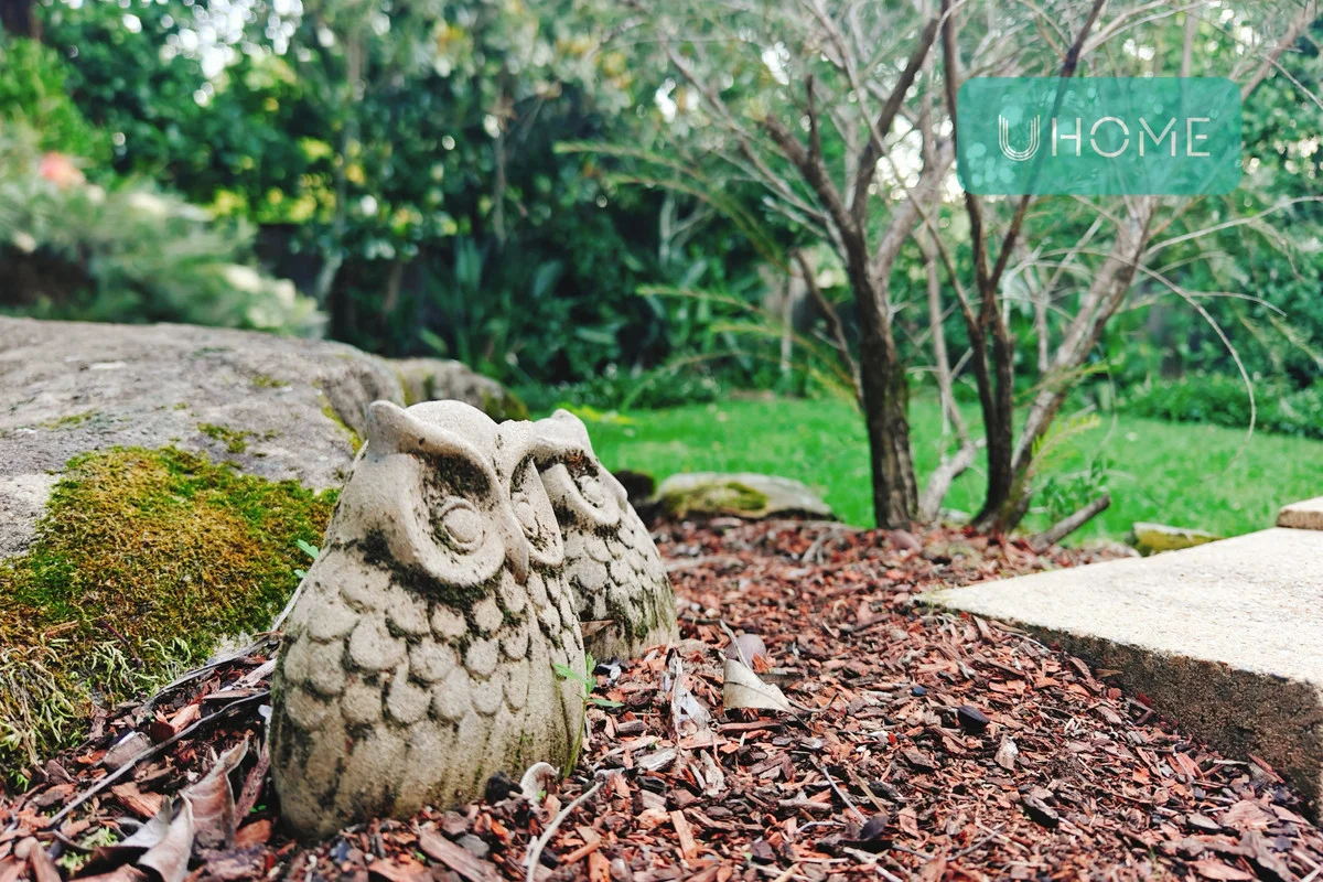 Additional image 16 of 64A Dumaresq Street, Gordon NSW 2072