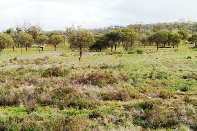 Picture of CUNDERDIN WA 6407