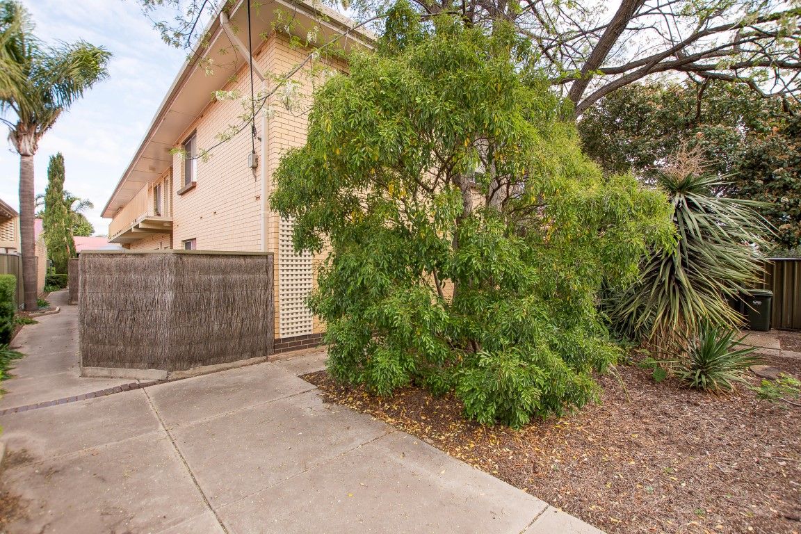 3-49 Ballantyne Street, Thebarton SA 5031, Image 2