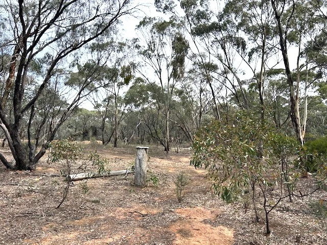 Additional image 7 of 0 Wycheproof Road, St Arnaud VIC 3478