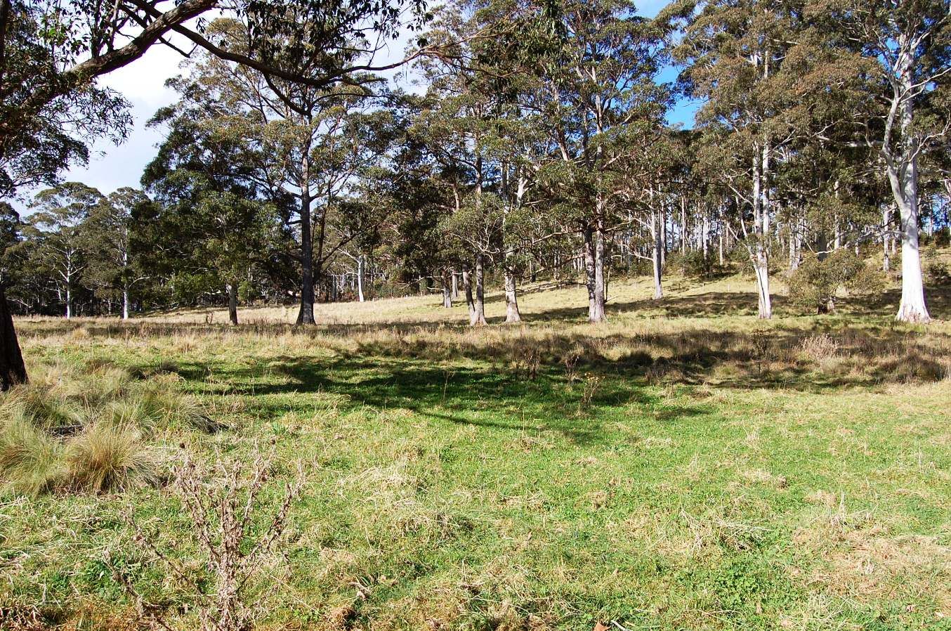 Cunnawarra Trail, Ebor NSW 2453, Image 0