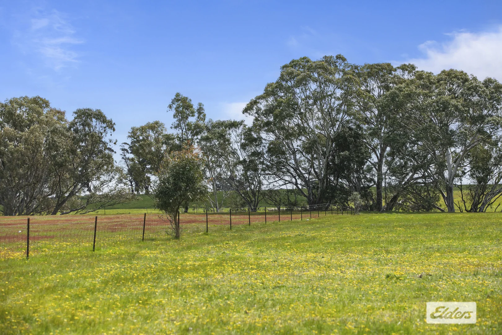 Image 20
