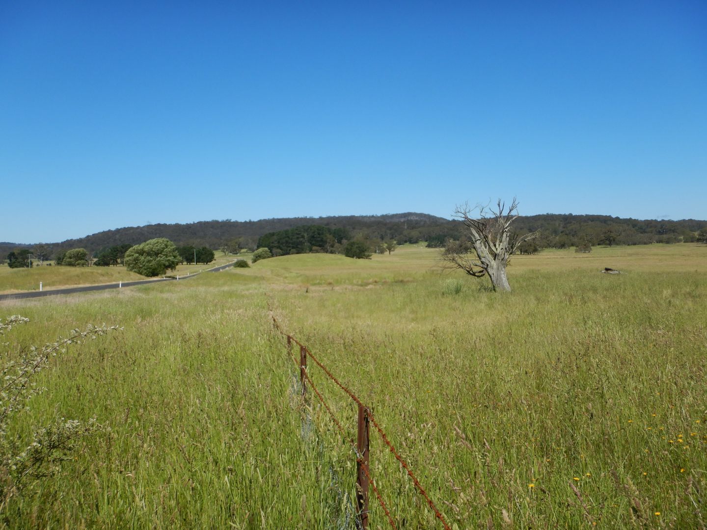 LOT 2 Mount Darragh Road, Cathcart NSW 2632, Image 1