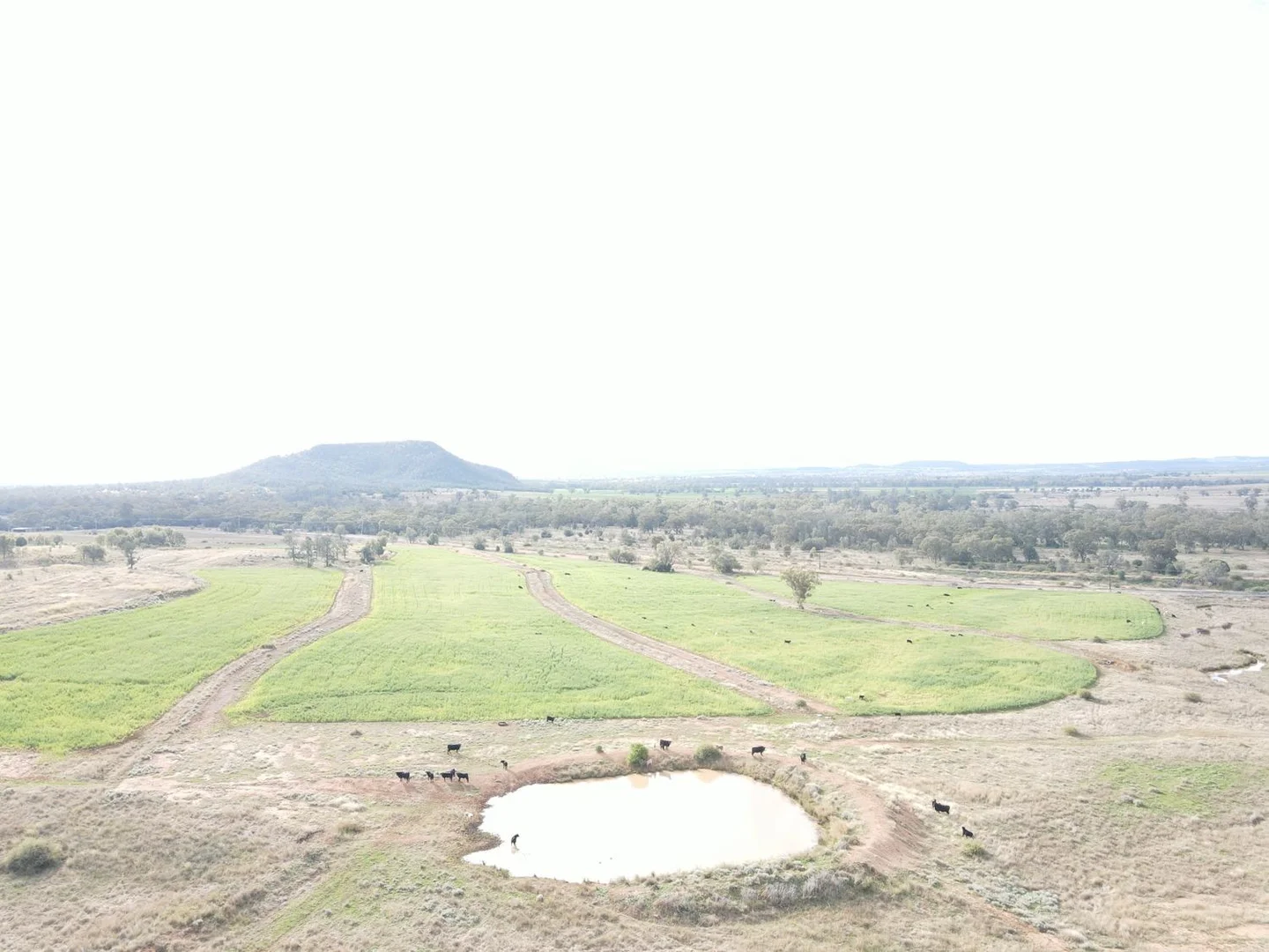 Image 15