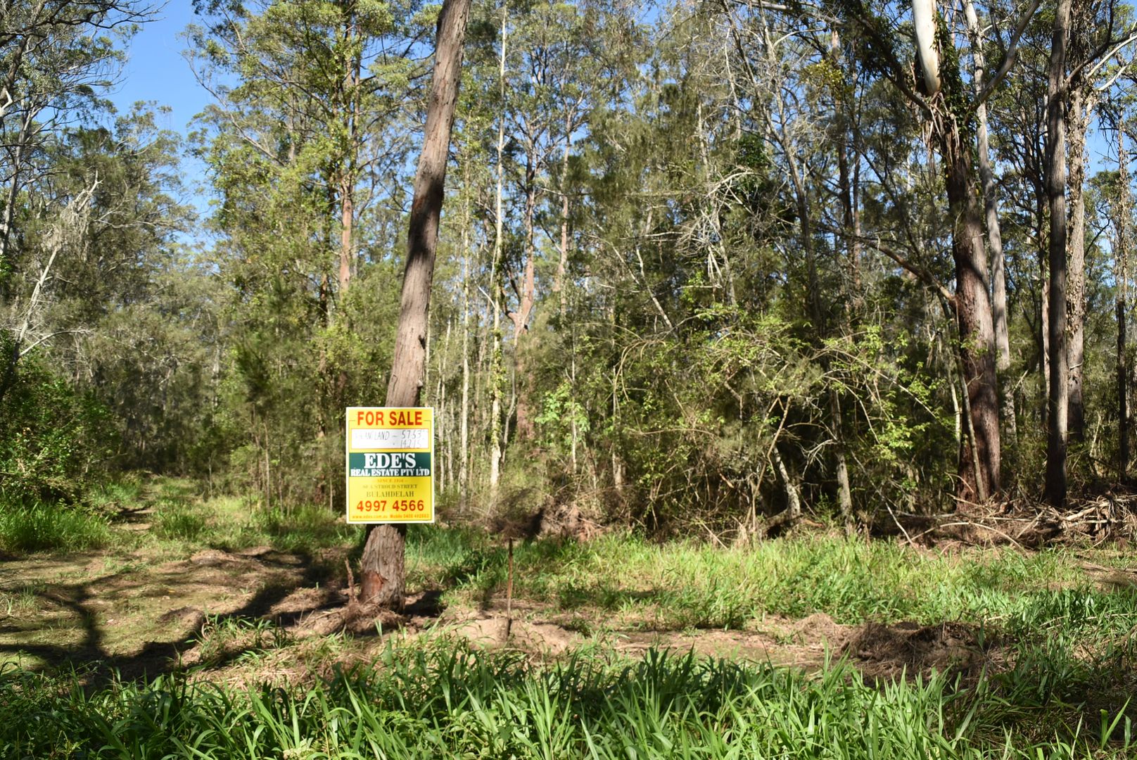 274 Glen Ora Road, Nabiac NSW 2312, Image 2