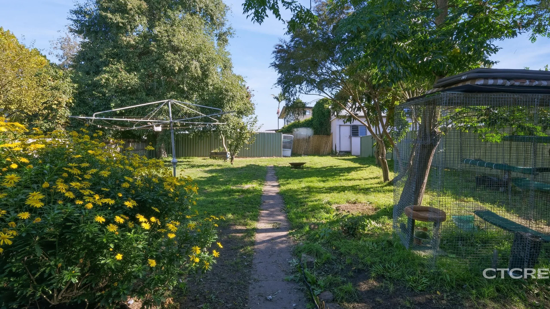 Image 14