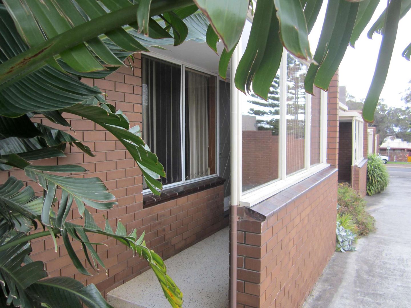 4 103 Kilgour Street Geelong Vic 3220 Apartment For Rent 270 Domain