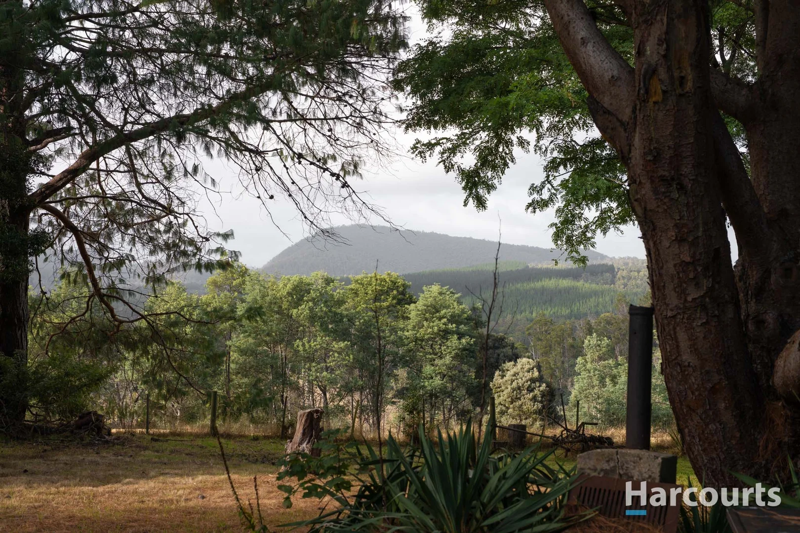 Additional image 33 of 54 Chesneys Road, Dunorlan TAS 7304