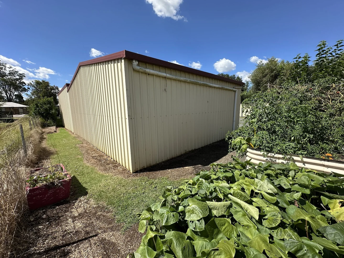Image 10
