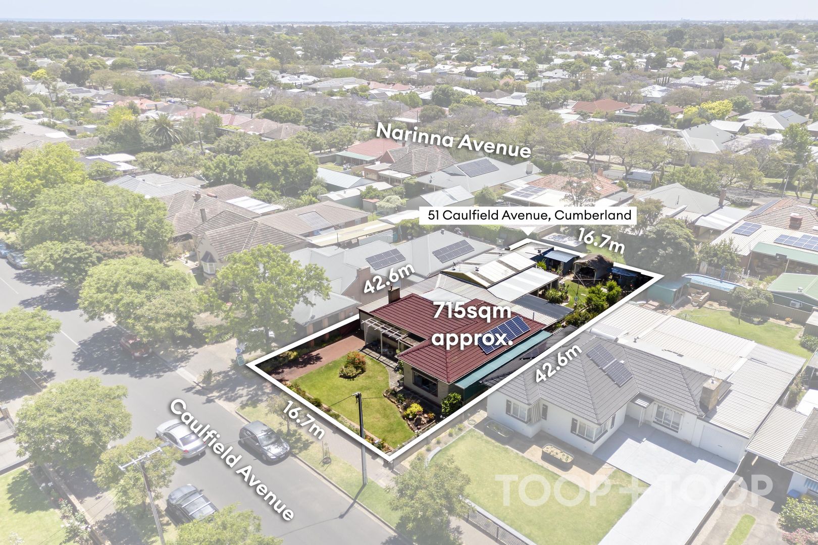 51 Caulfield Avenue, Cumberland Park SA 5041, Image 1