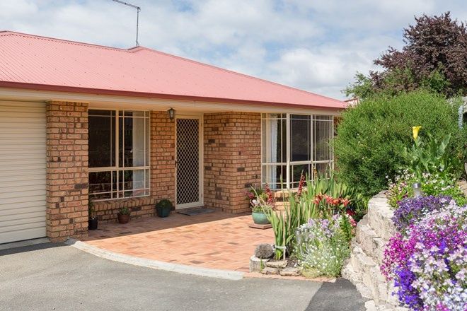 Picture of 6/108 Talbot Road, SOUTH LAUNCESTON TAS 7249