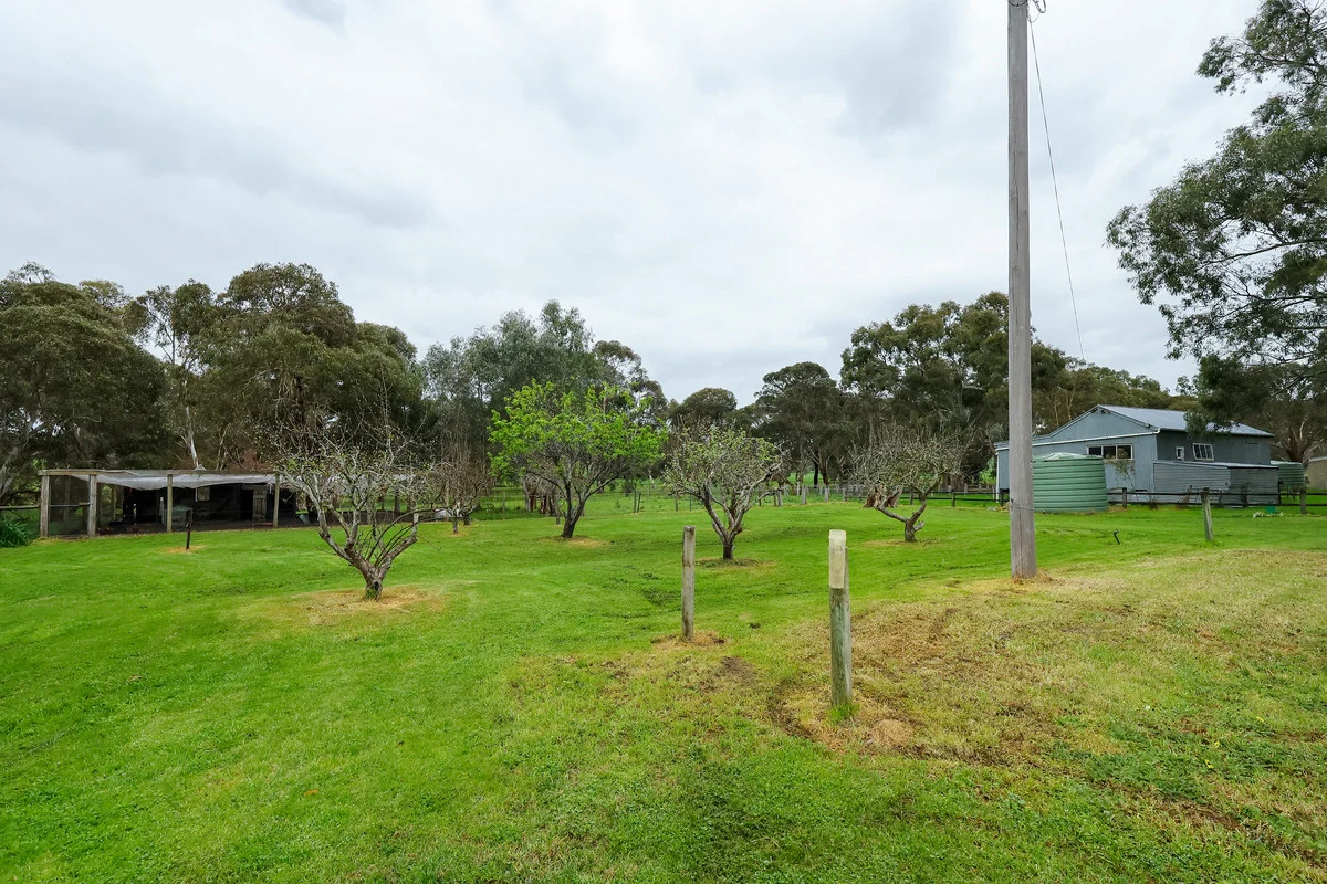 Image 28