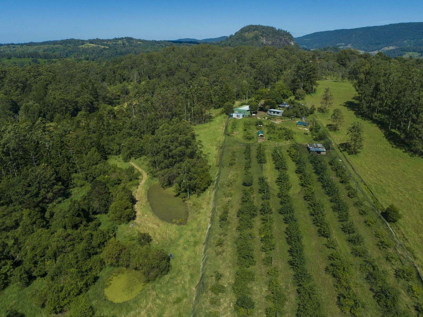 209 Billen Road, Georgica NSW 2480, Image 1