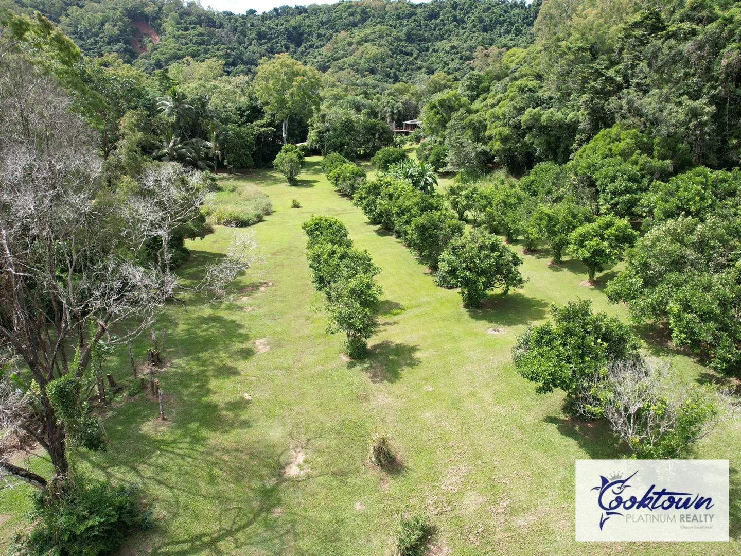 Additional image 22 of 2529 Cape Tribulation Bloomfield Rd, Bloomfield QLD 4895
