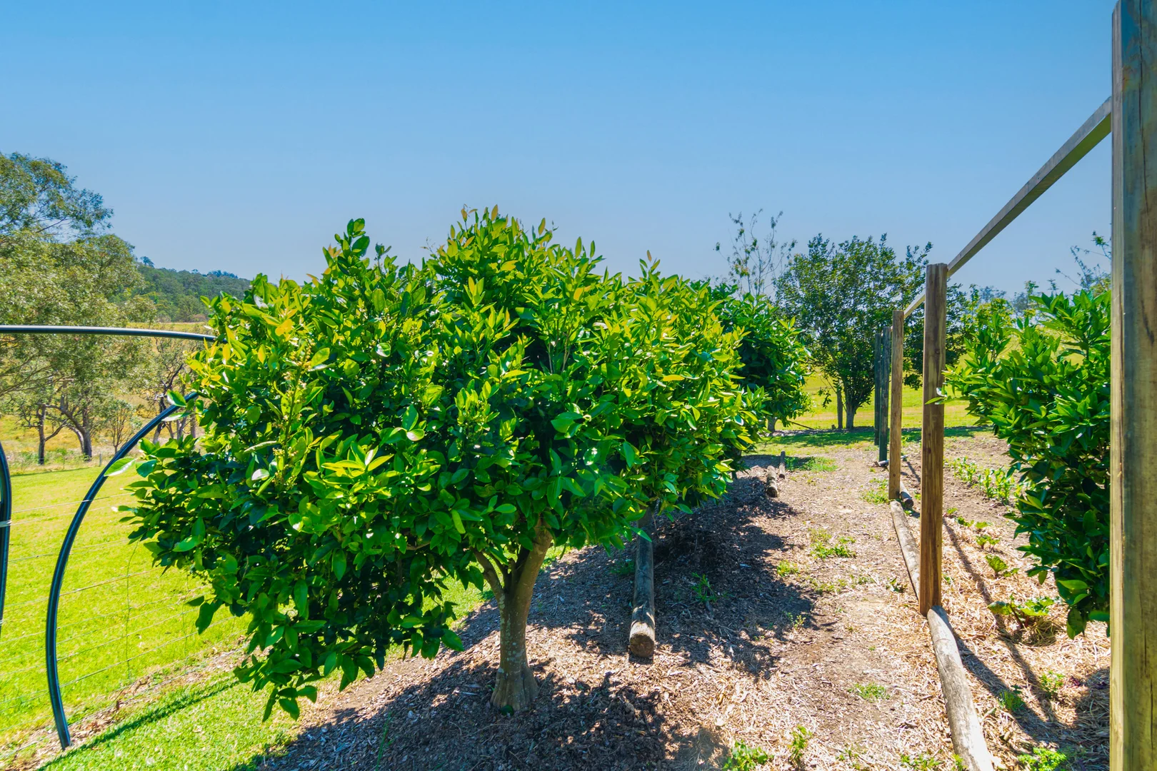 Additional image 42 of 302 Scone Road, Gloucester NSW 2422