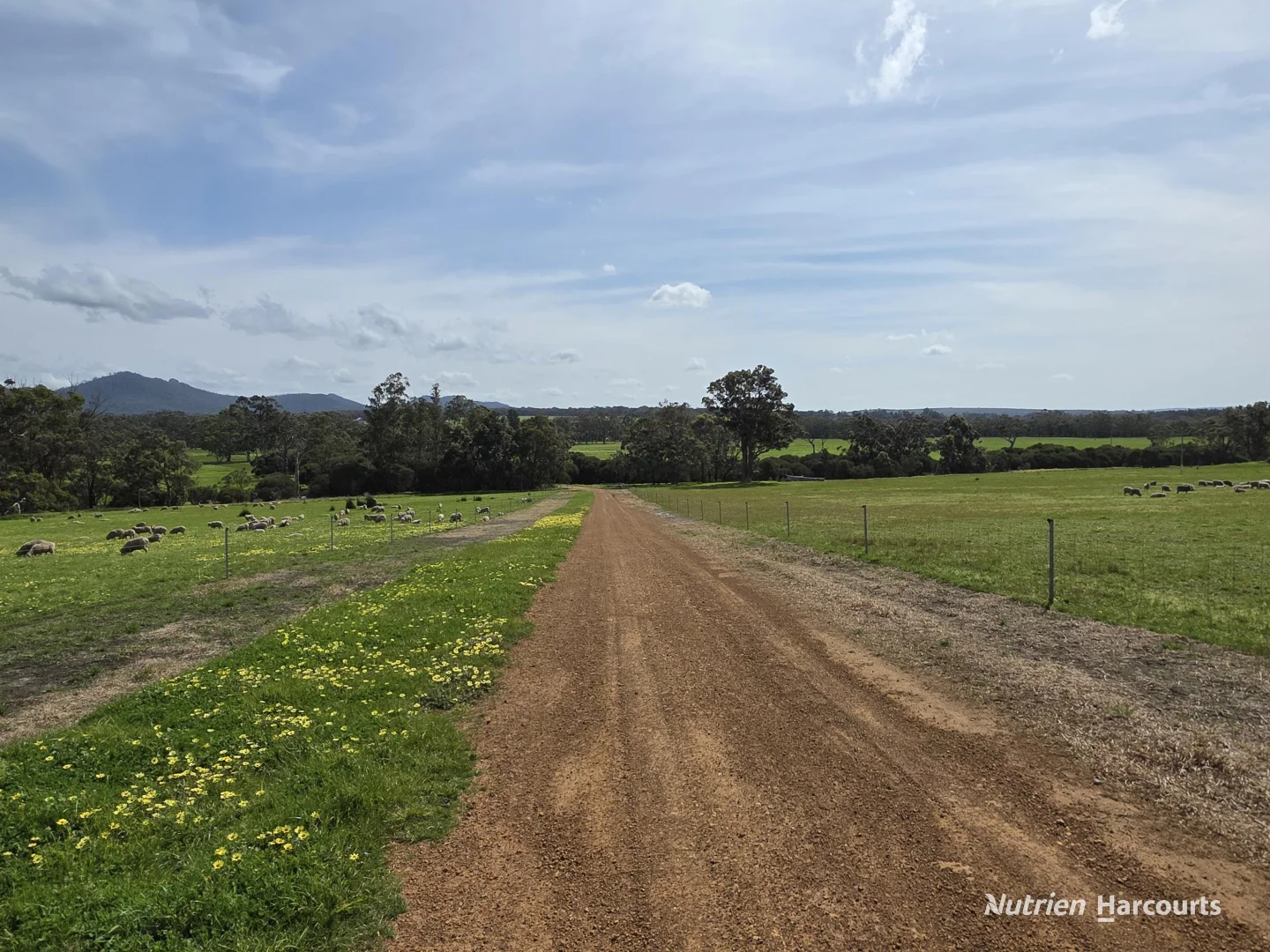 Image 39