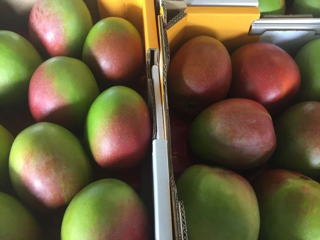 Additional image 9 of Bowen QLD 4805