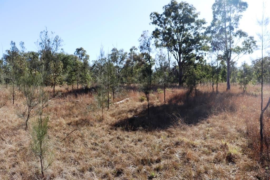 Lot 49 Mclean Road, Durong QLD 4610, Image 2