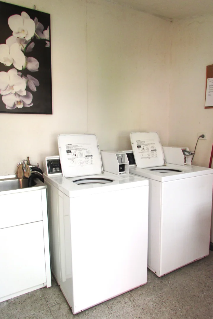 Additional image 8 of 4/176 Ebley Street, Bondi Junction NSW 2022