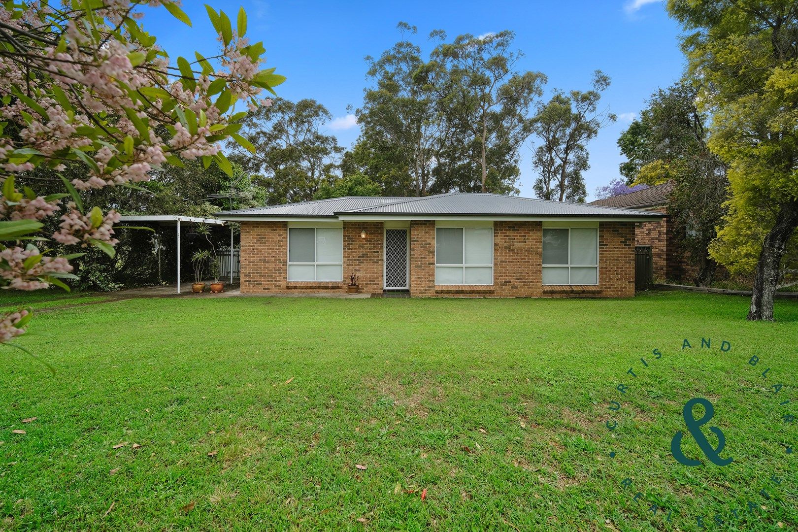 36 Kindlebark Drive, Medowie NSW 2318, Image 0