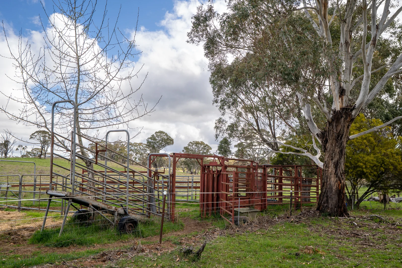 Additional image 34 of 584 Huntley Road, Huntley NSW 2800