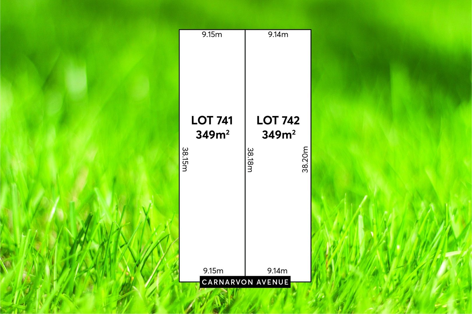 23 Carnarvon Avenue, Redwood Park SA 5097 Domain