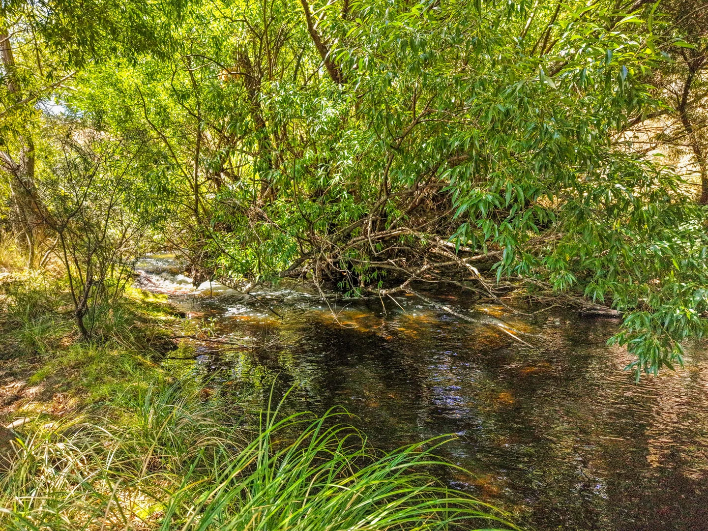 Image 22