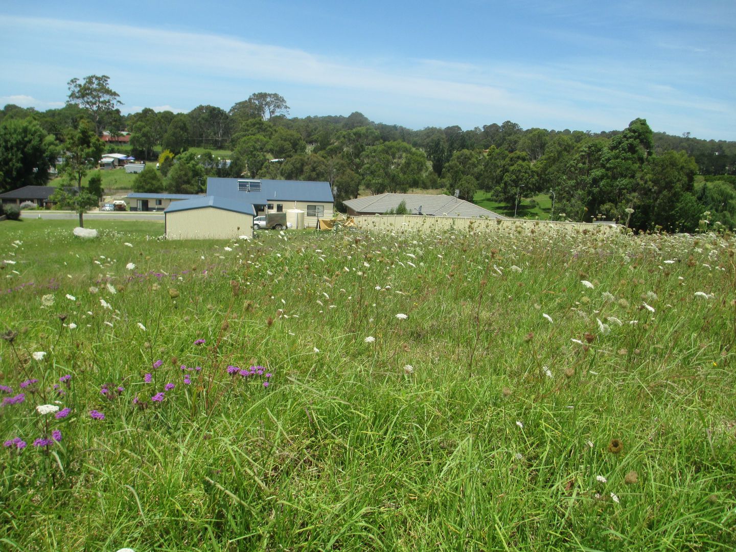 Lot 38 Swan Ridge Place, Moruya NSW 2537, Image 1