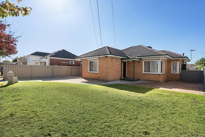 Picture of 39 Shelley Avenue, NETLEY SA 5037