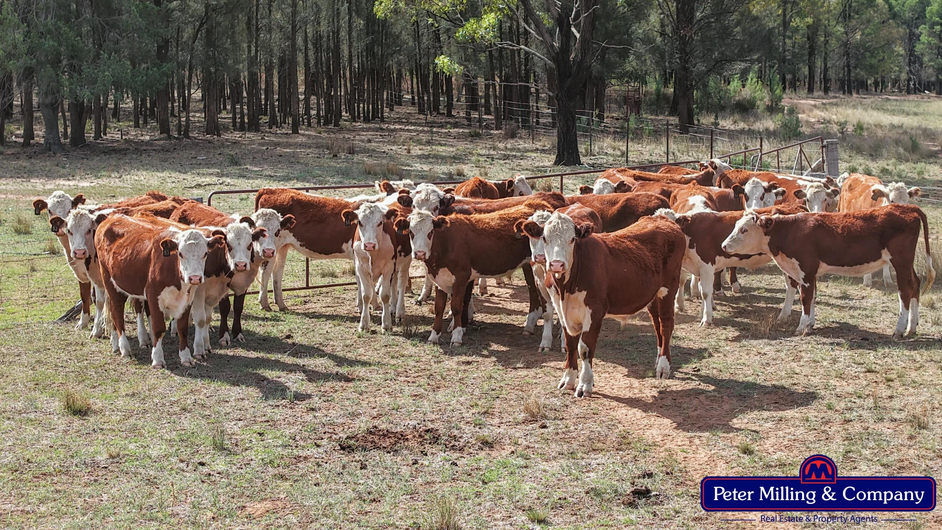 Additional image 30 of 44L Woodleys Road, Wongarbon NSW 2831