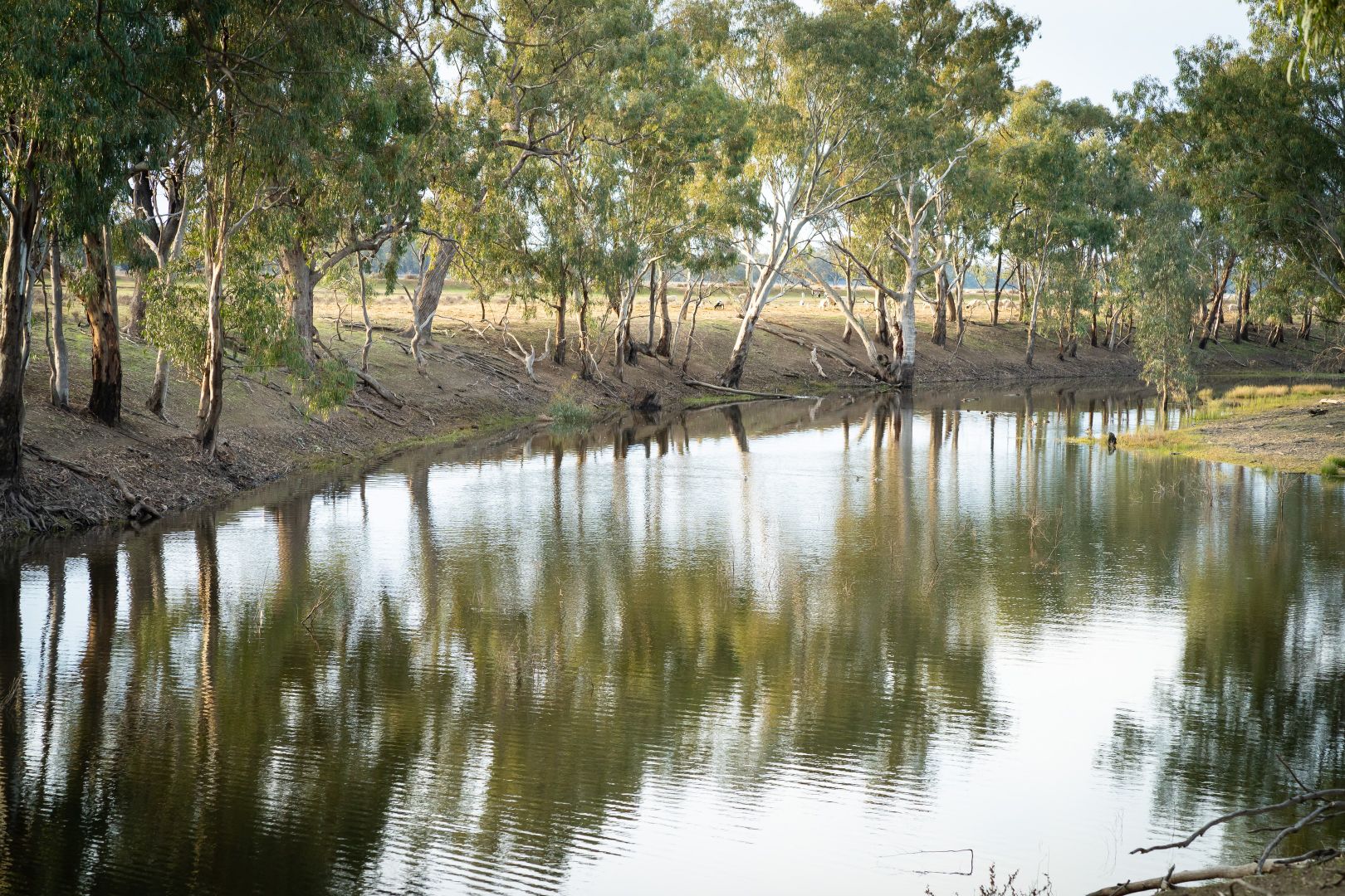 Deniliquin NSW 2710, Image 1