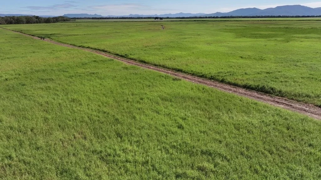 Additional image 42 of Pomona Road, Ingham QLD 4850