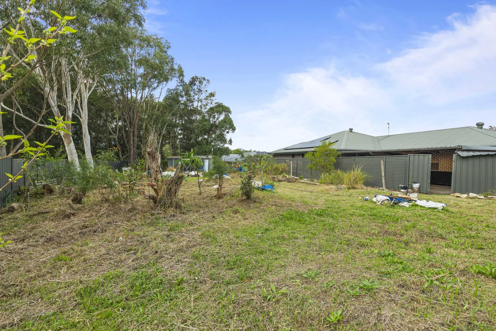 Image 12