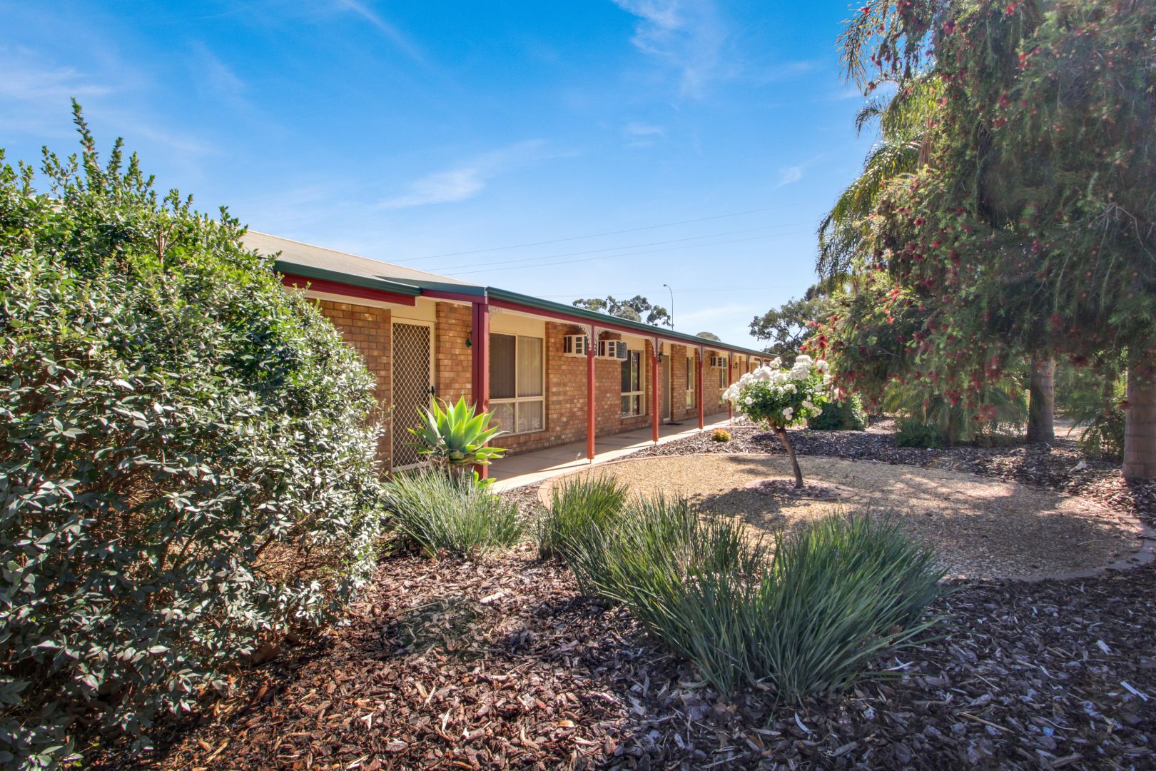 171 Ral Ral Avenue, Renmark SA 5341, Image 1