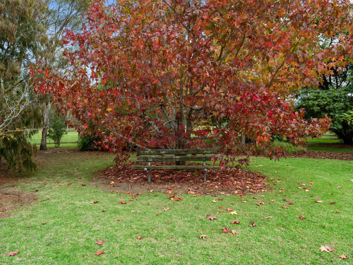 Additional image 23 of 885 Forge Creek Road, Forge Creek VIC 3875