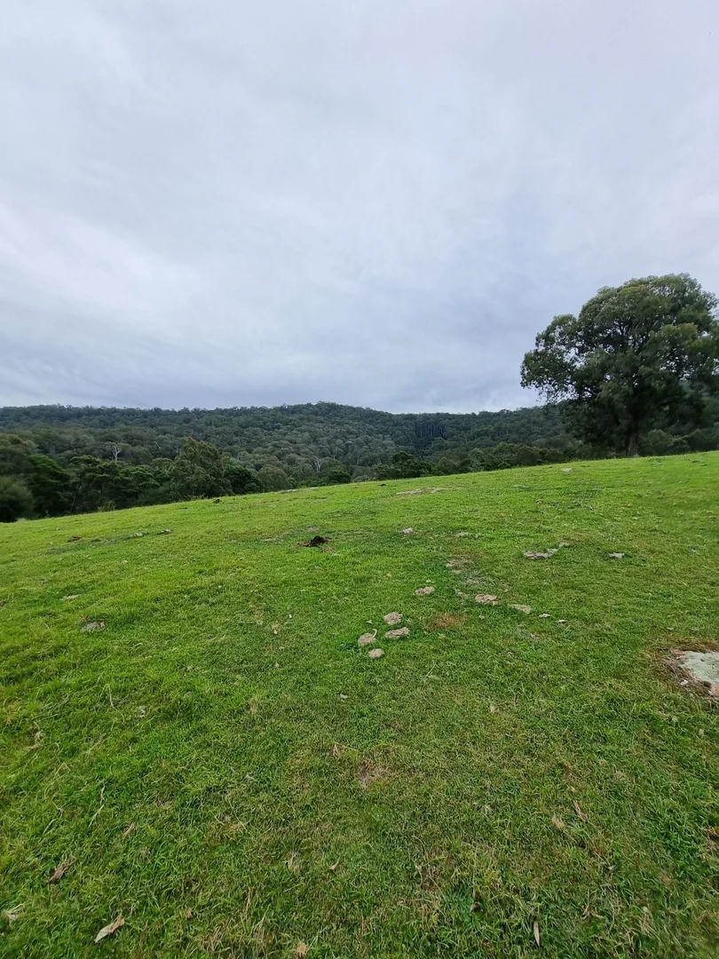 Image 32