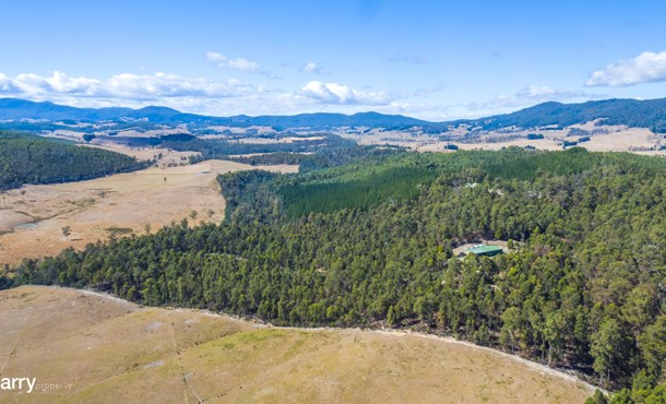6 Colgraves Road, Pipers River TAS 7252
