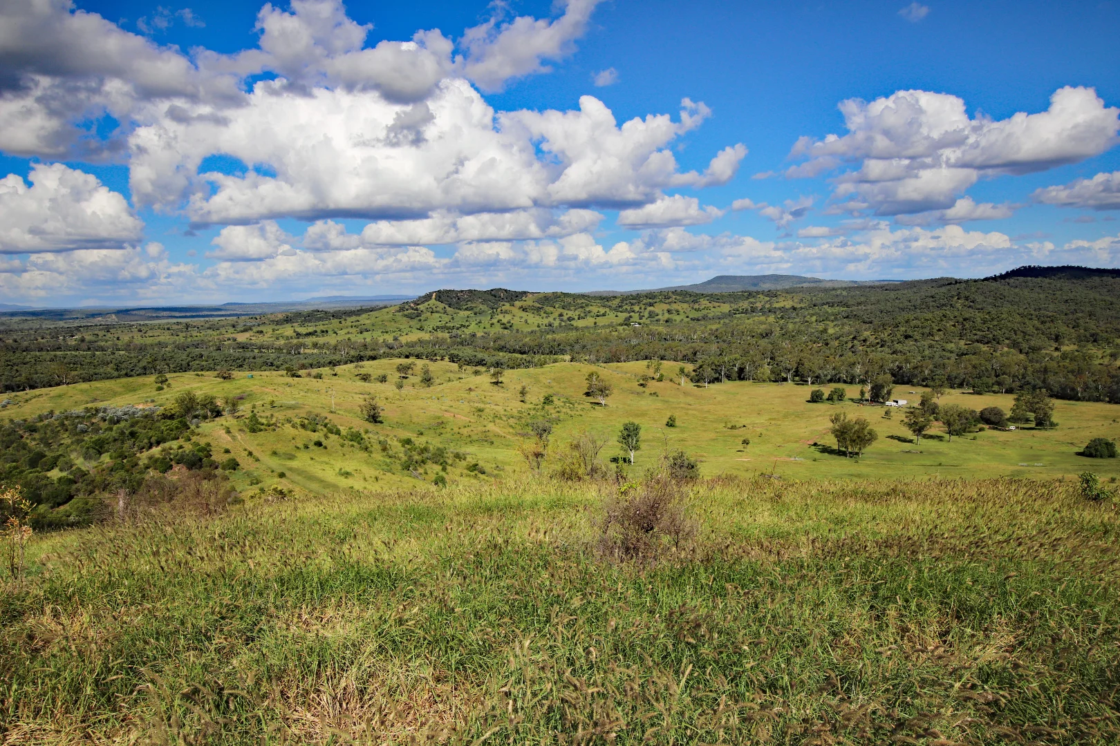 Additional image 7 of "Scrubview" Frawleys Road, Thangool QLD 4716