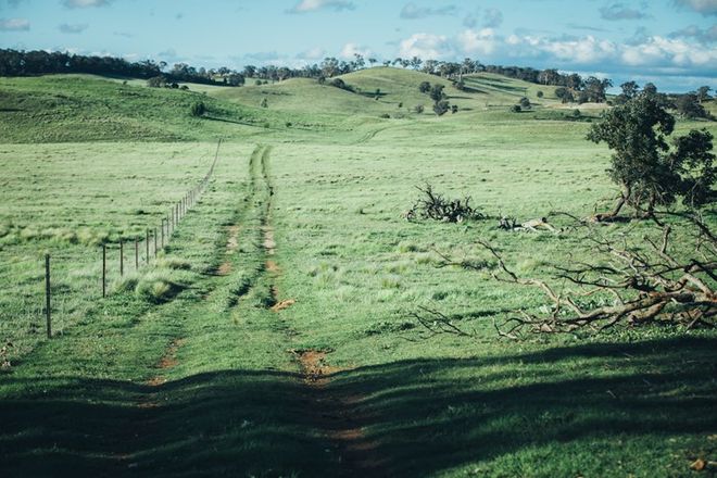 Picture of 363 The Lookdown Road, BUNGONIA NSW 2580